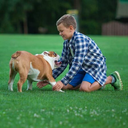 child playing with dog in clean yard